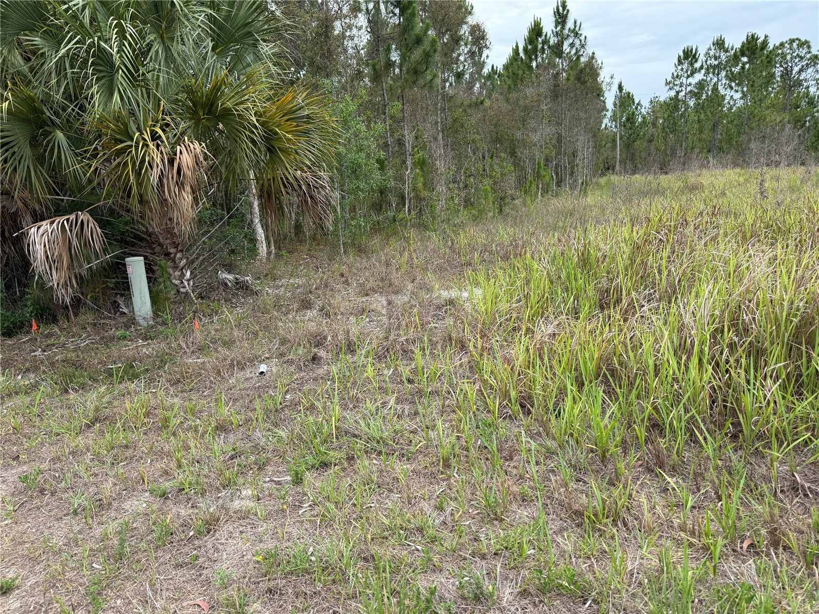 1009 Jackson Avenue Lehigh Acres FL 33972 OM725425 image2