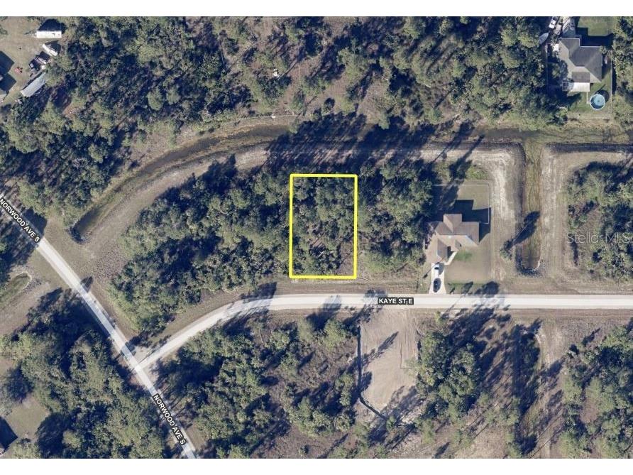 1009 Kaye Street E Lehigh Acres FL 33974 T3516604 image1