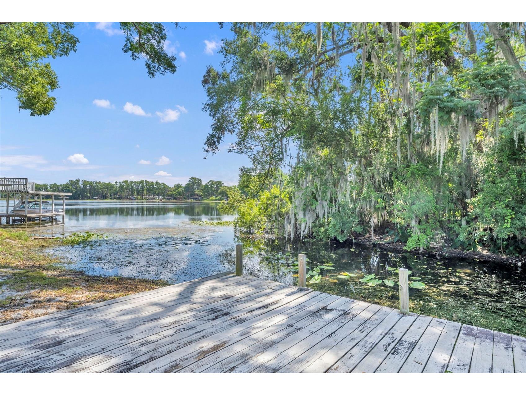 1009 Lake Bell Drive Winter Park FL 32789 - LAKE BELL O6409849 image2