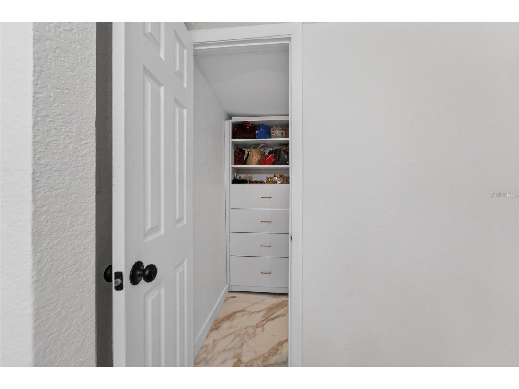 1009 Lenna Avenue Seffner FL 33584 TB8462565 image22