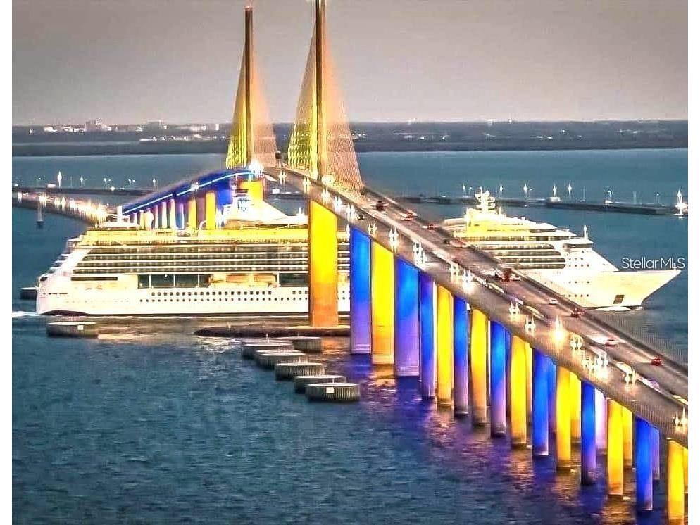 1009 Lenna Avenue Seffner FL 33584 TB8462565 image46