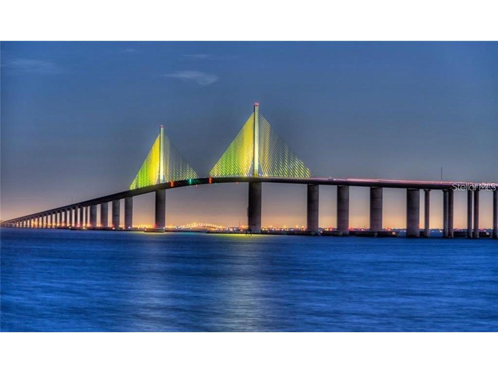 1009 Lenna Avenue Seffner FL 33584 TB8462565 image47