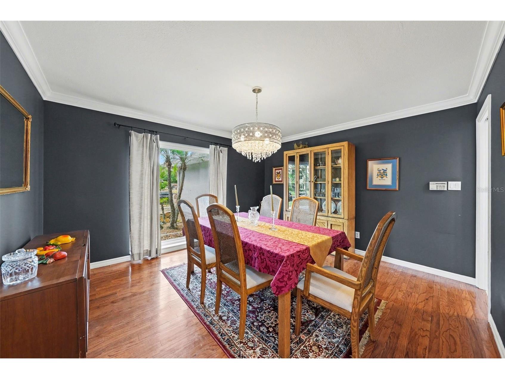 1009 Morfield Lane Brandon FL 33511 TB8494546 image10