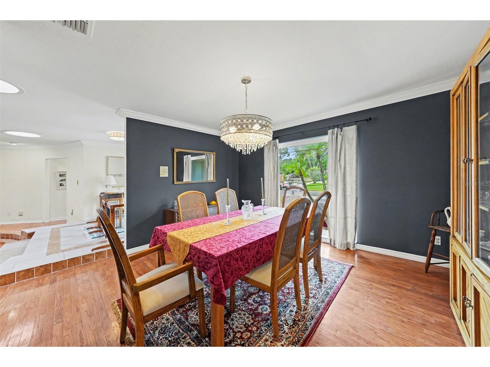 1009 Morfield Lane Brandon FL 33511 TB8494546 image11