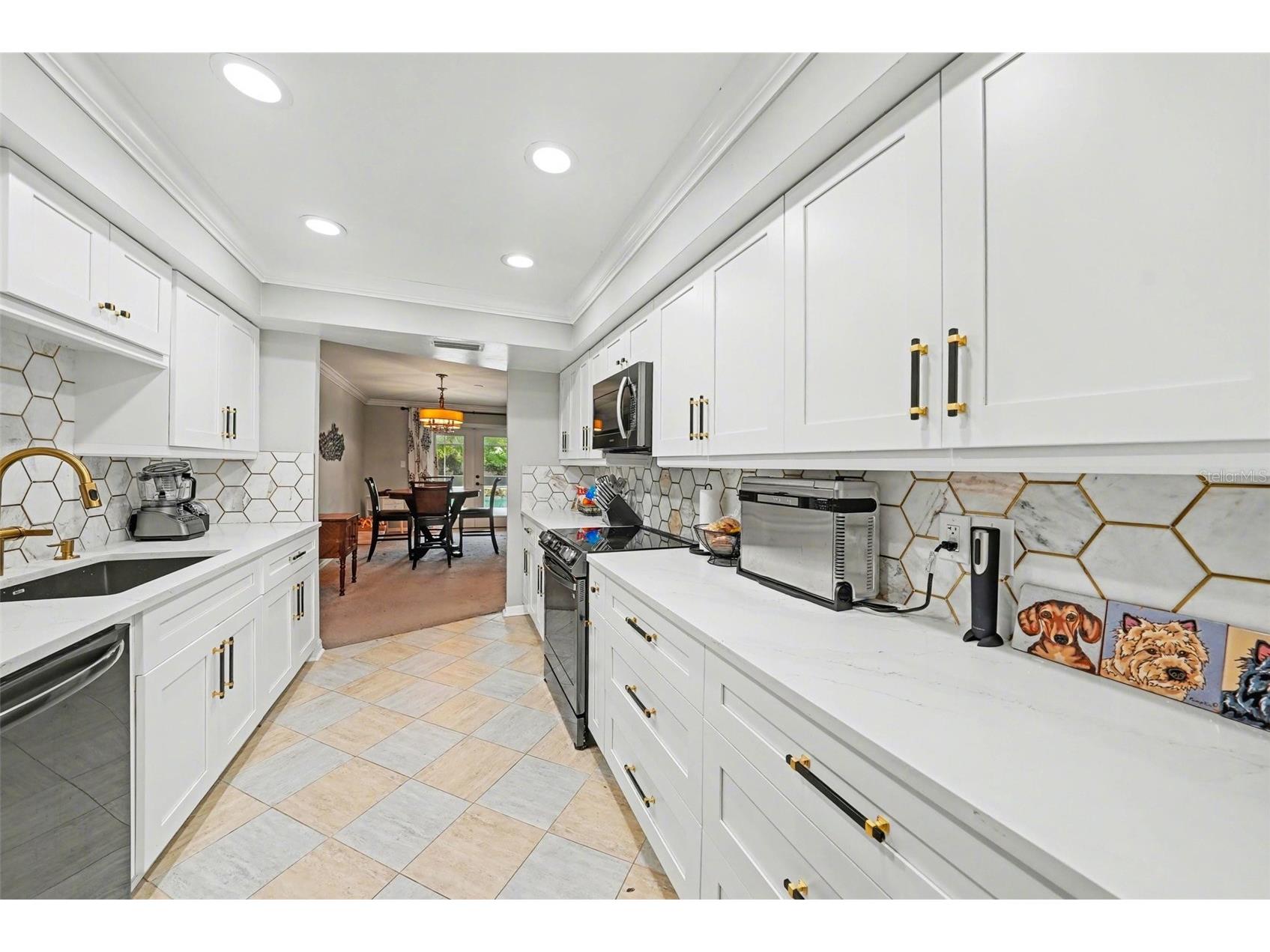 1009 Morfield Lane Brandon FL 33511 TB8494546 image14