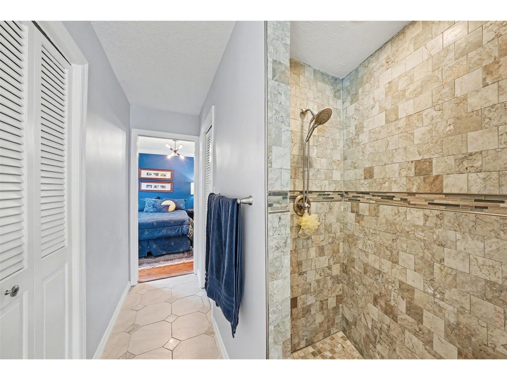 1009 Morfield Lane Brandon FL 33511 TB8494546 image19