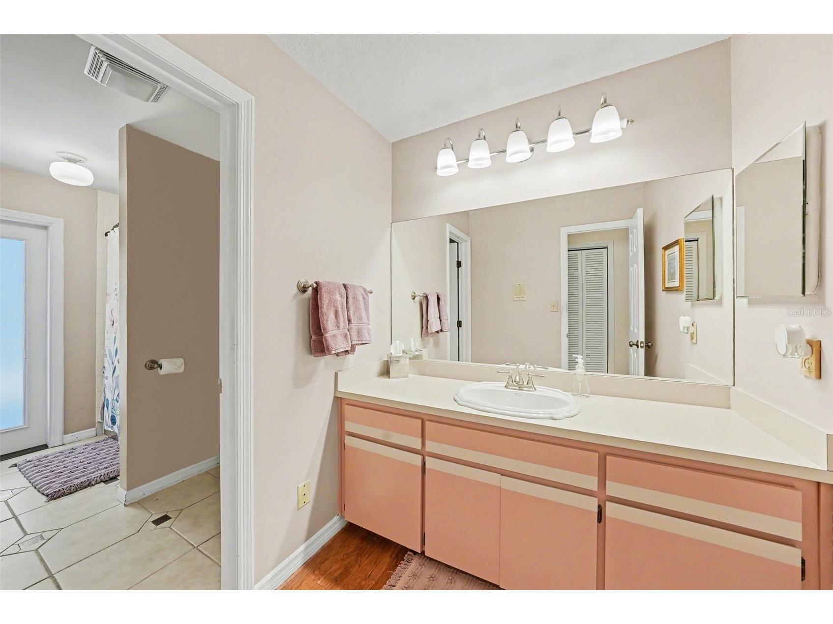 1009 Morfield Lane Brandon FL 33511 TB8494546 image20