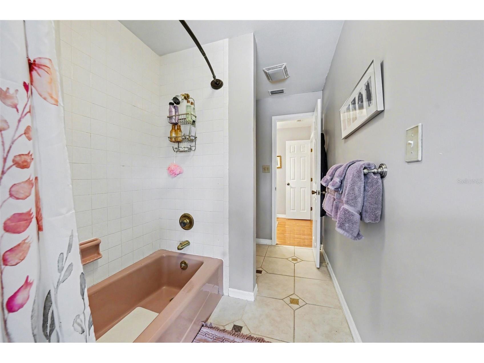 1009 Morfield Lane Brandon FL 33511 TB8494546 image21