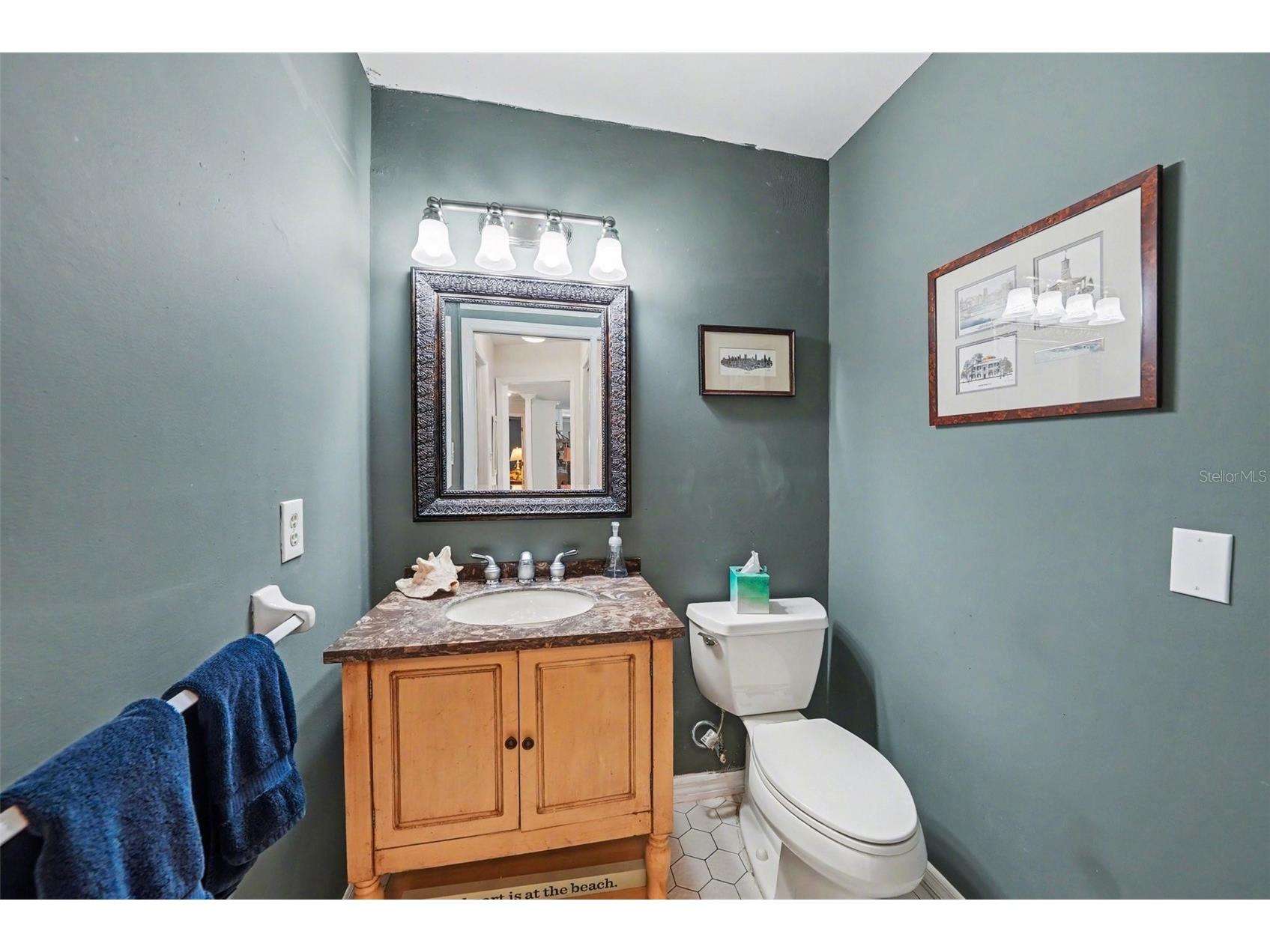 1009 Morfield Lane Brandon FL 33511 TB8494546 image22