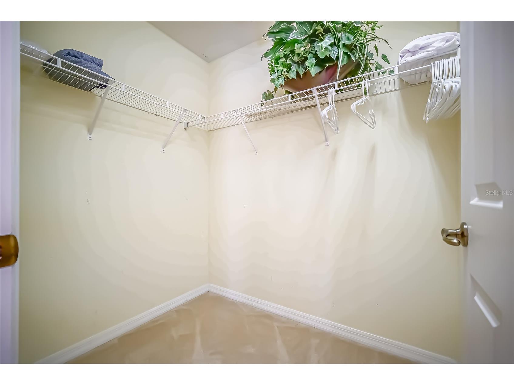 1009 Orange Cosmos Boulevard Davenport FL 33837 O6376655 image29