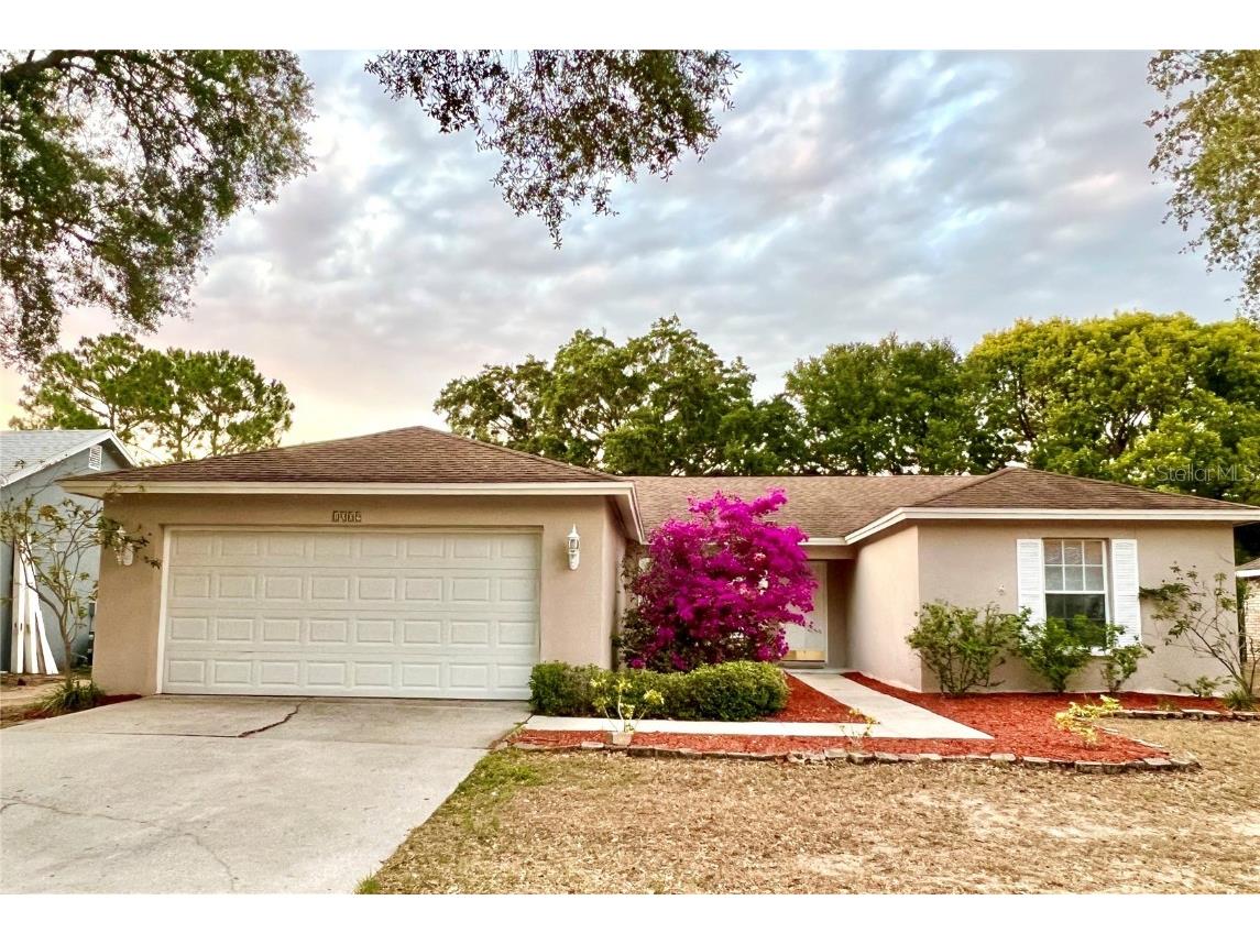 1009 Peachwood Drive Brandon FL 33510 T3532226 image1