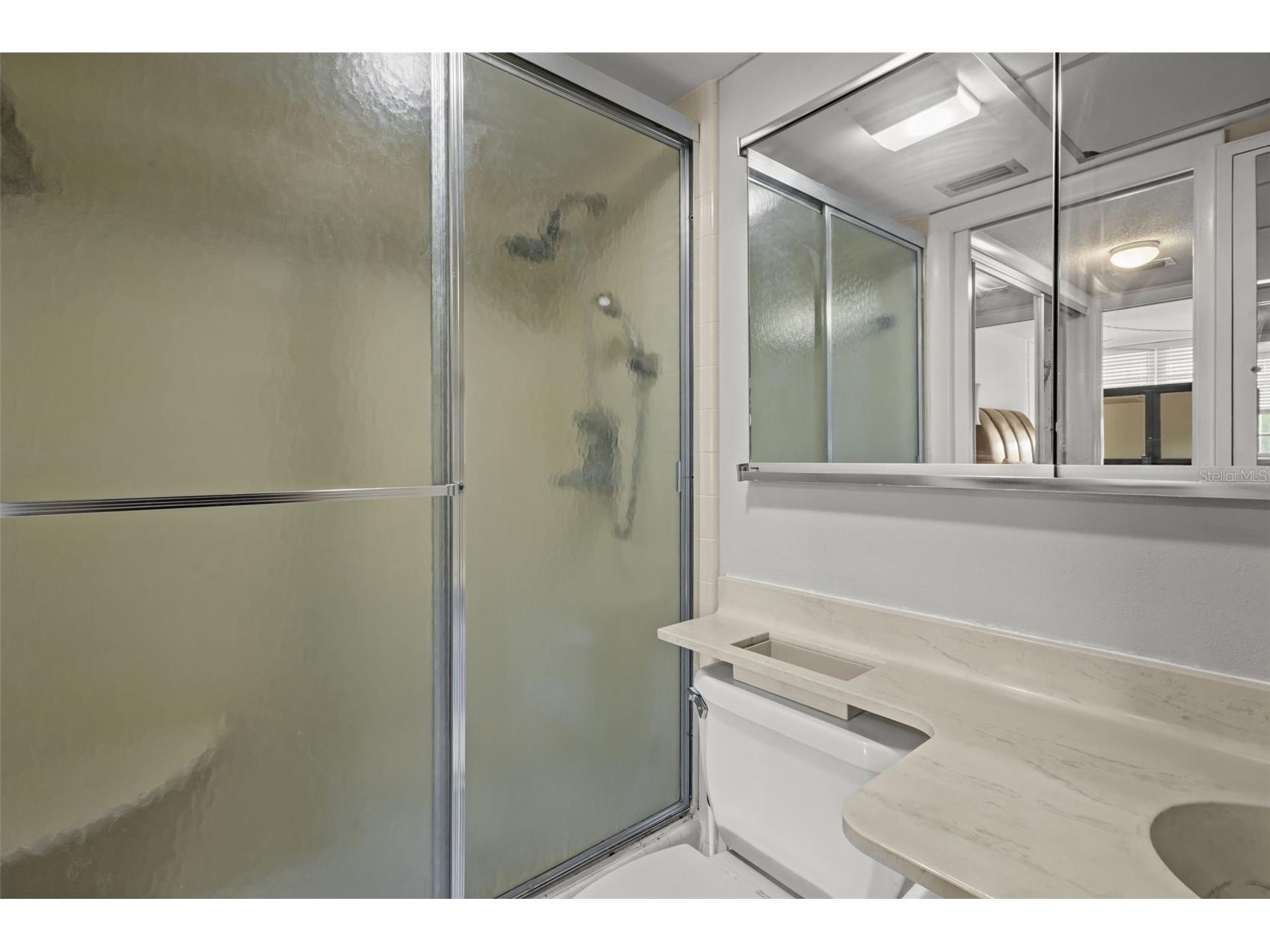 1009 Pearce Drive #206 Clearwater FL 33764 TB8490594 image17