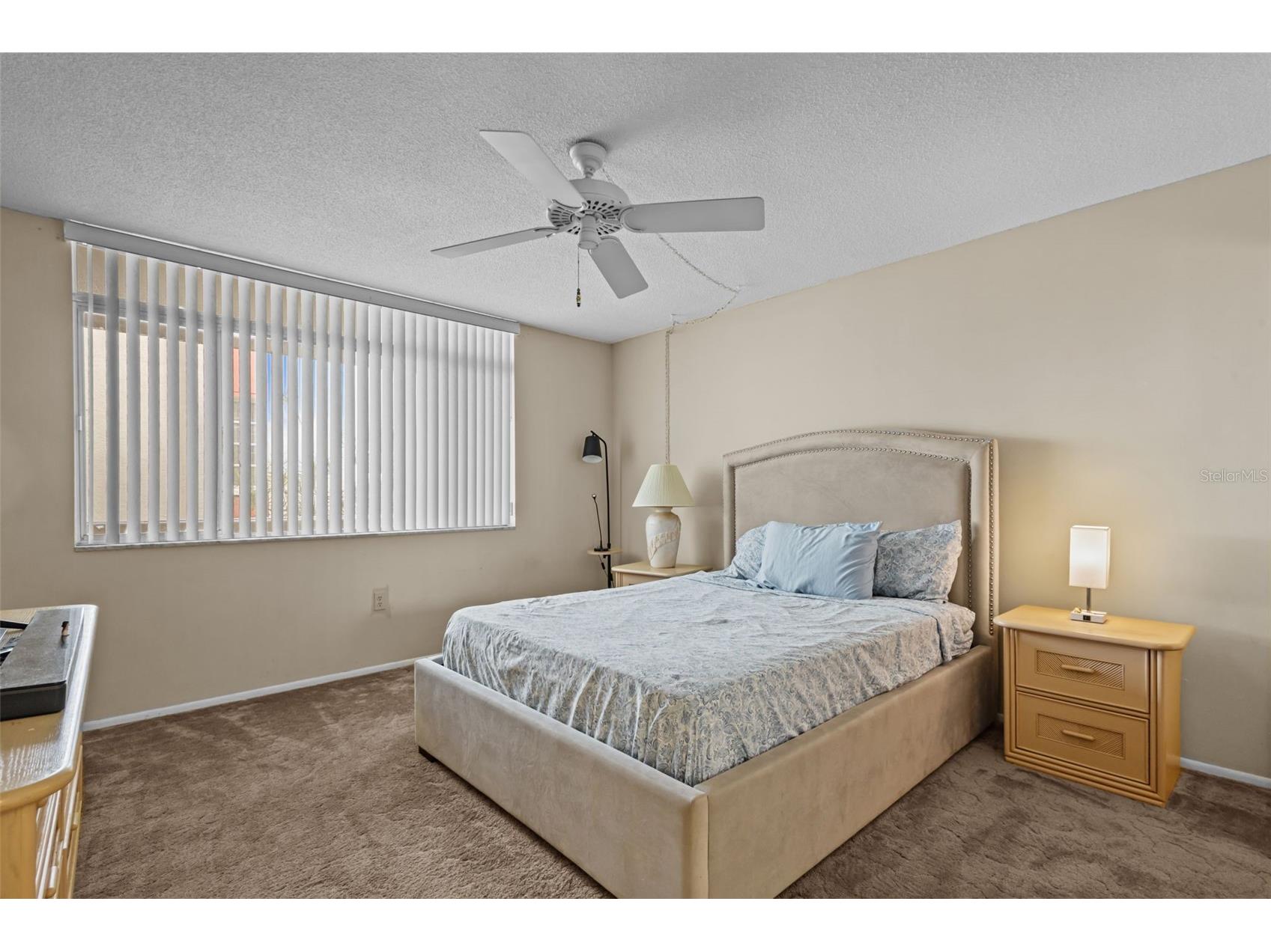 1009 Pearce Drive #206 Clearwater FL 33764 TB8490594 image18