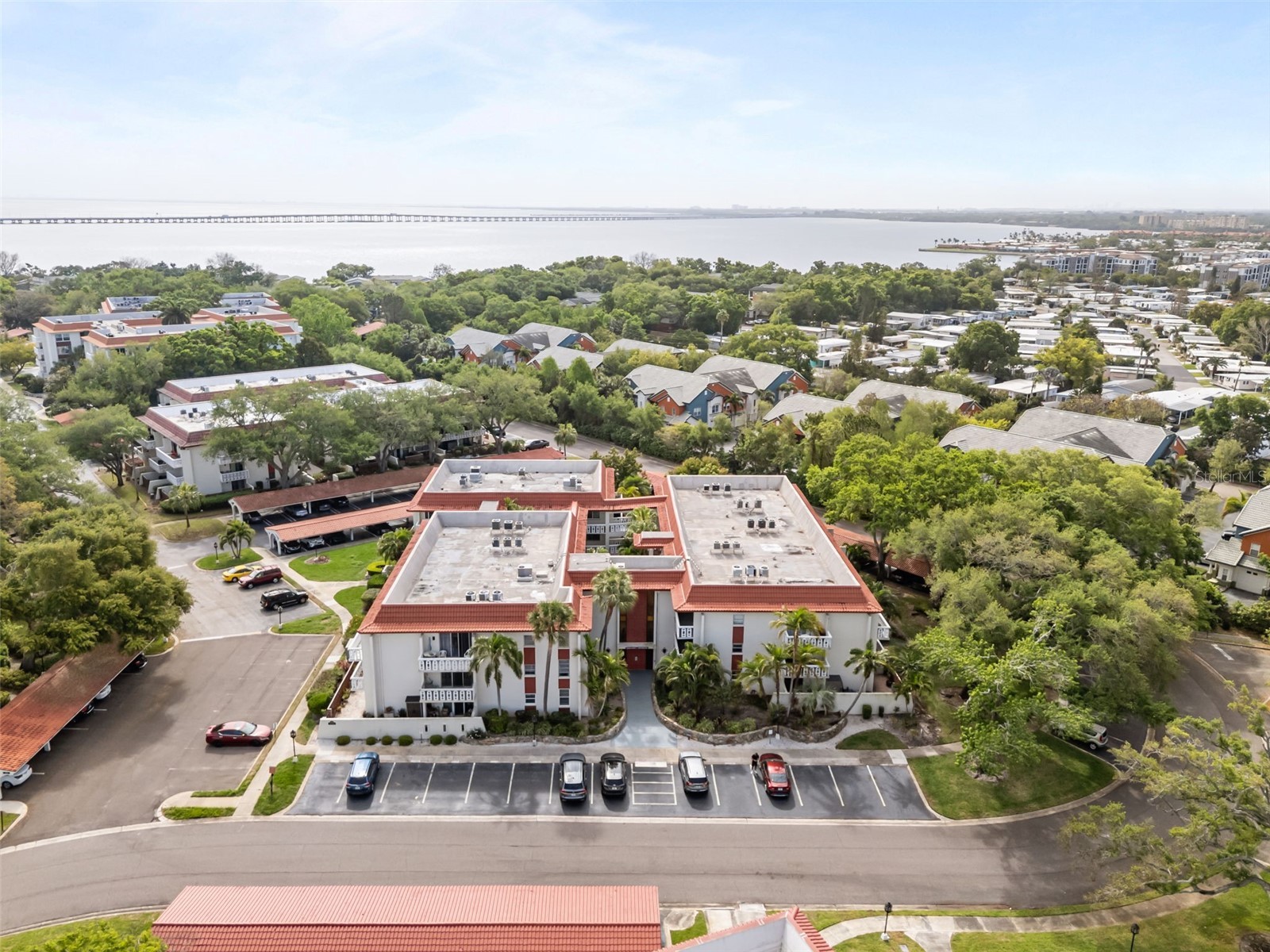 1009 Pearce Drive #206 Clearwater FL 33764 TB8490594 image22