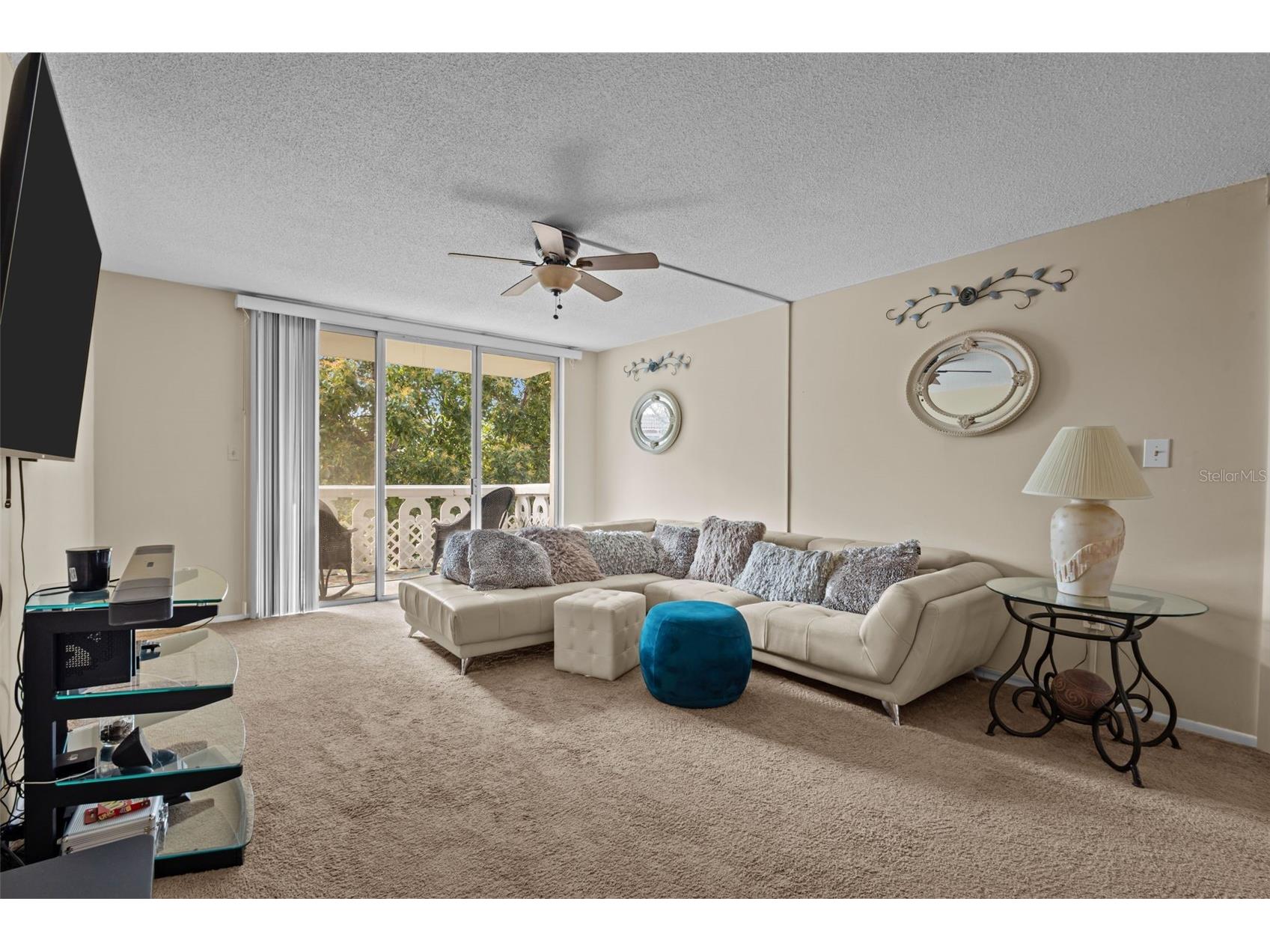 1009 Pearce Drive #206 Clearwater FL 33764 TB8490594 image4