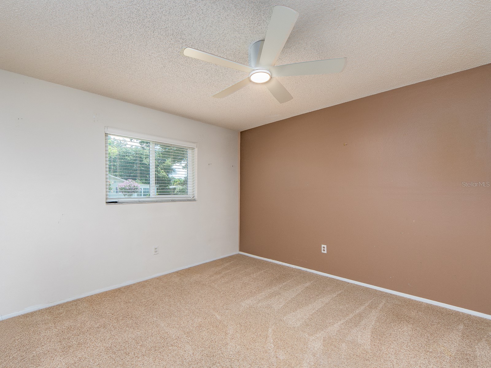 1009 Queen Anne Drive #B Palm Harbor FL 34684 - LAKE TARPON TB8520737 image18