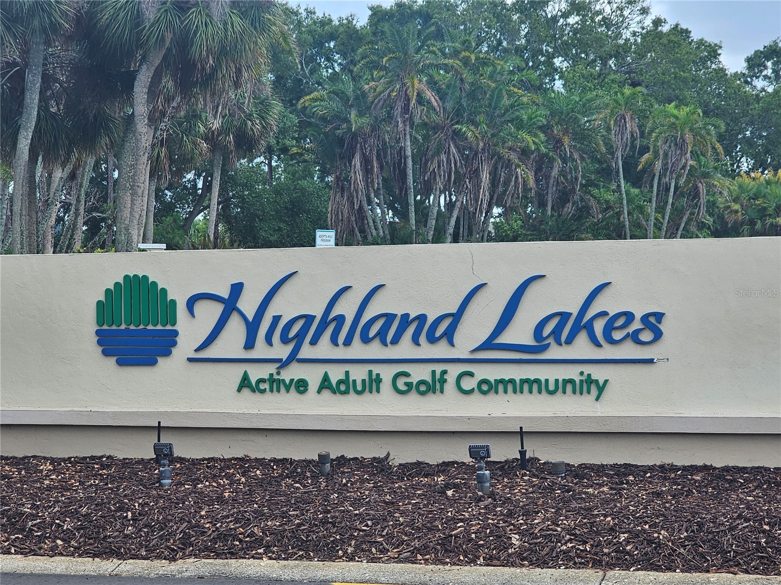 1009 Queen Anne Drive #B Palm Harbor FL 34684 - LAKE TARPON TB8520737 image22