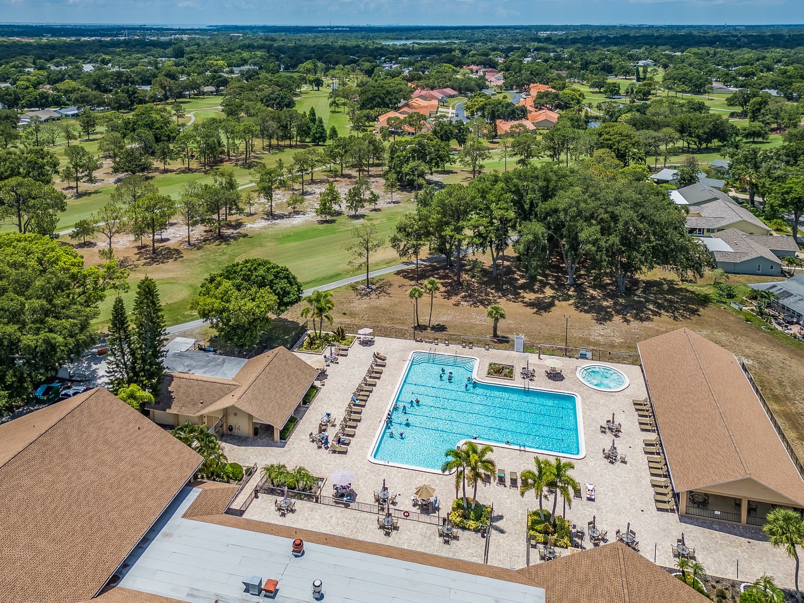 1009 Queen Anne Drive #B Palm Harbor FL 34684 - LAKE TARPON TB8520737 image26