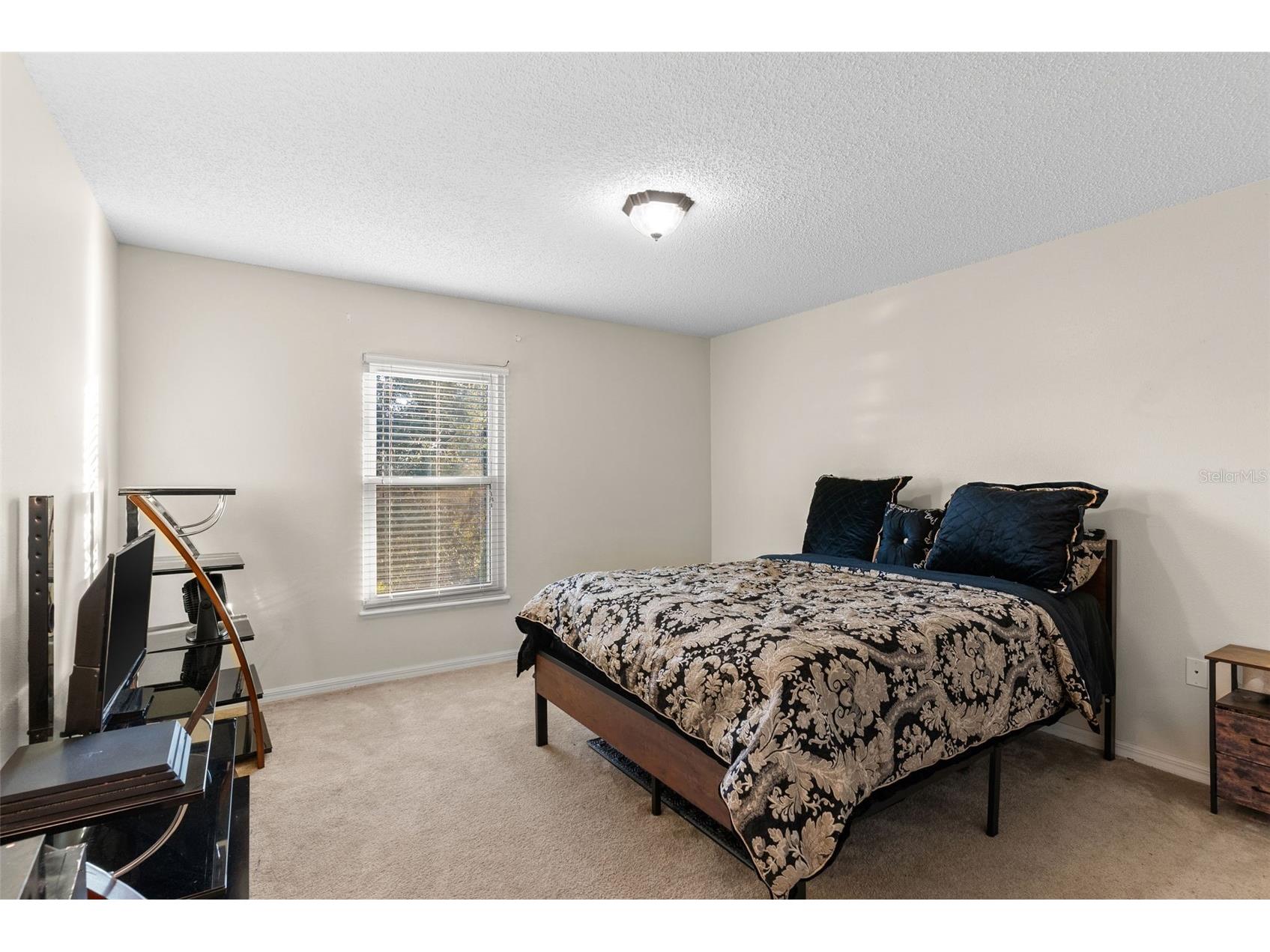 1009 Ronlin Street Haines City FL 33844 L4958110 image25