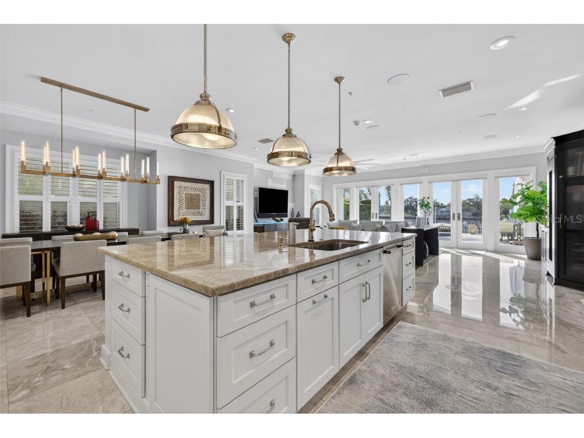 1009 Royal Pass Road Tampa FL 33602 - SEDDON CHANNEL TB8453517 image18