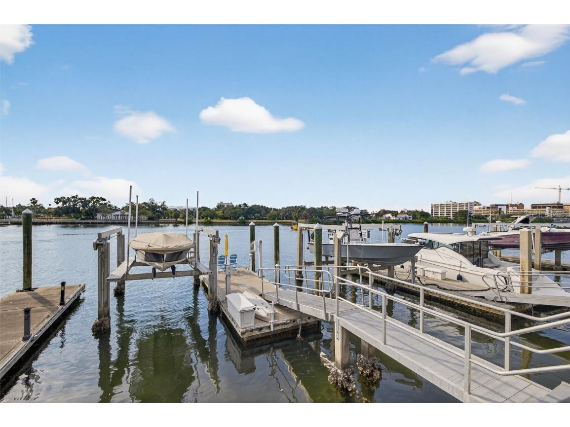 1009 Royal Pass Road Tampa FL 33602 - SEDDON CHANNEL TB8453517 image31