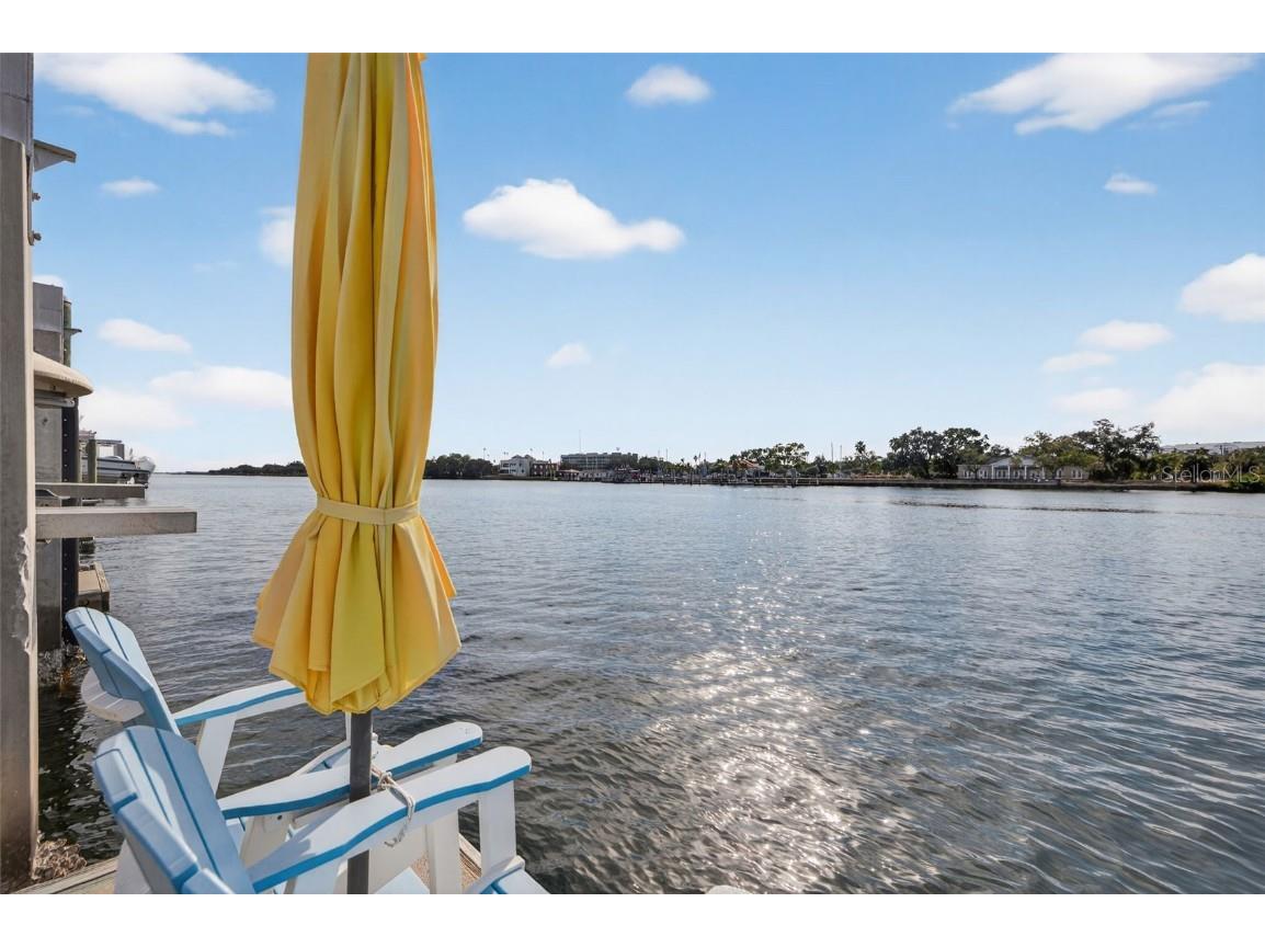 1009 Royal Pass Road Tampa FL 33602 - SEDDON CHANNEL TB8453517 image33