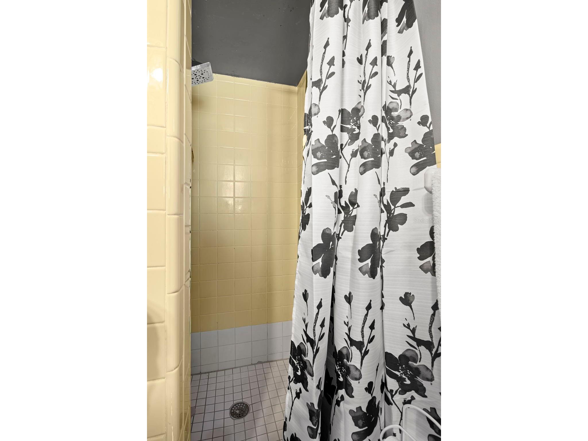 1009 S San Remo Avenue Clearwater FL 33756 TB8471154 image21