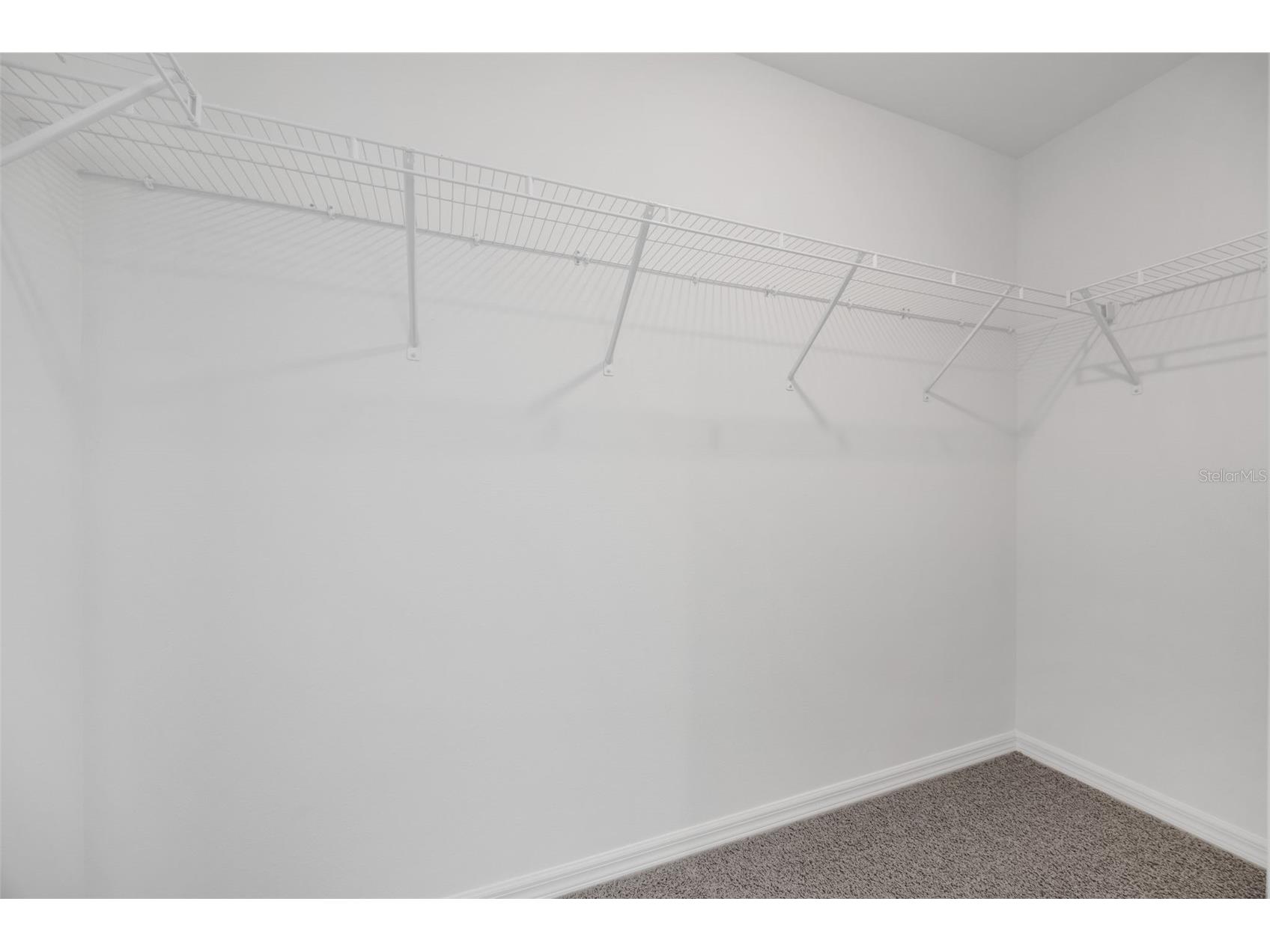 1009 Spotted Egret Loop Ruskin FL 33570 TB8468044 image19