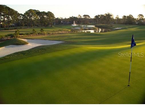 1009 Sudbury Lane Ormond Beach FL 32174 TB8375913 image41