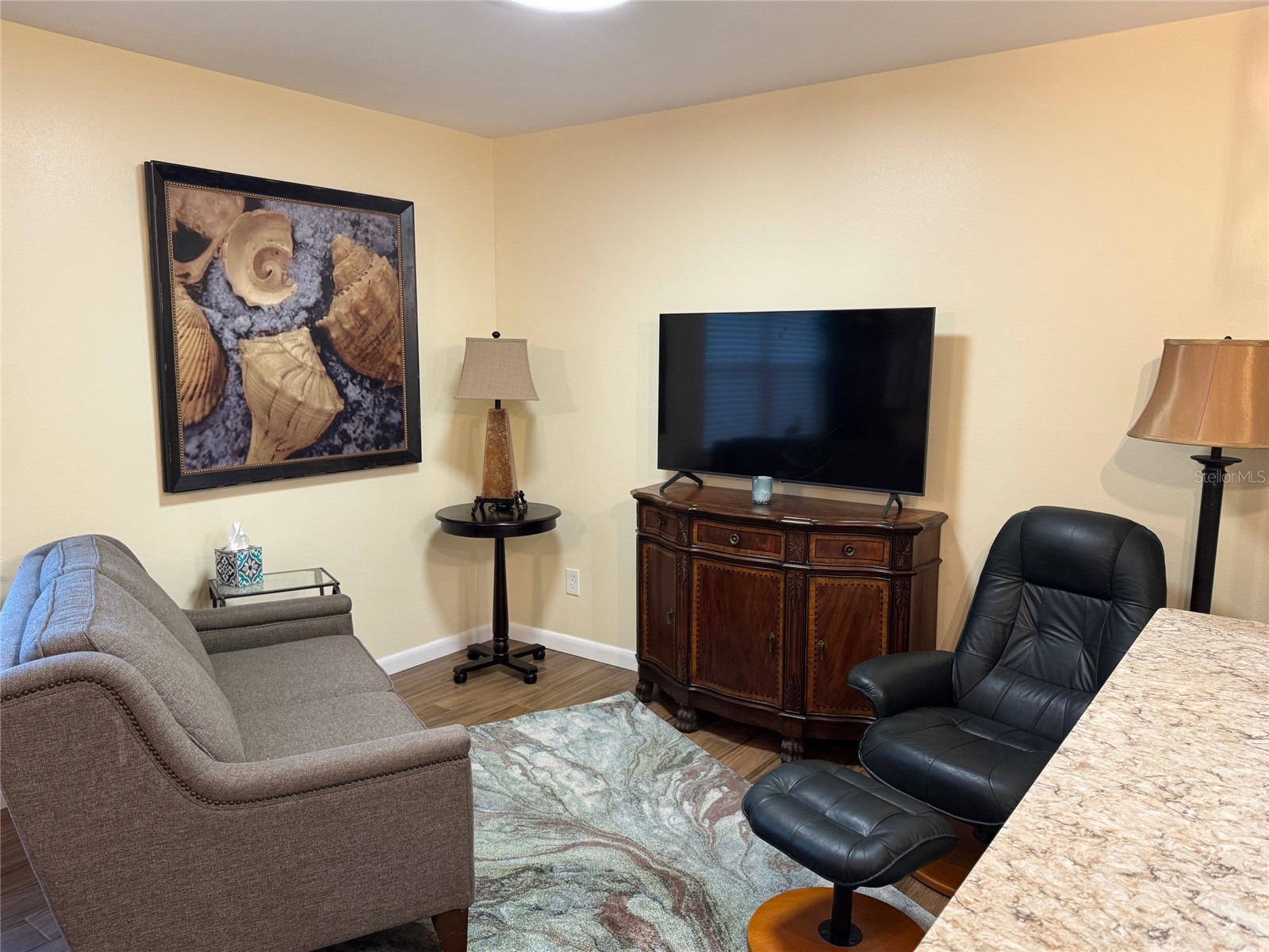 1009 Sumner Boulevard #C Safety Harbor FL 34695 TB8489712 image6