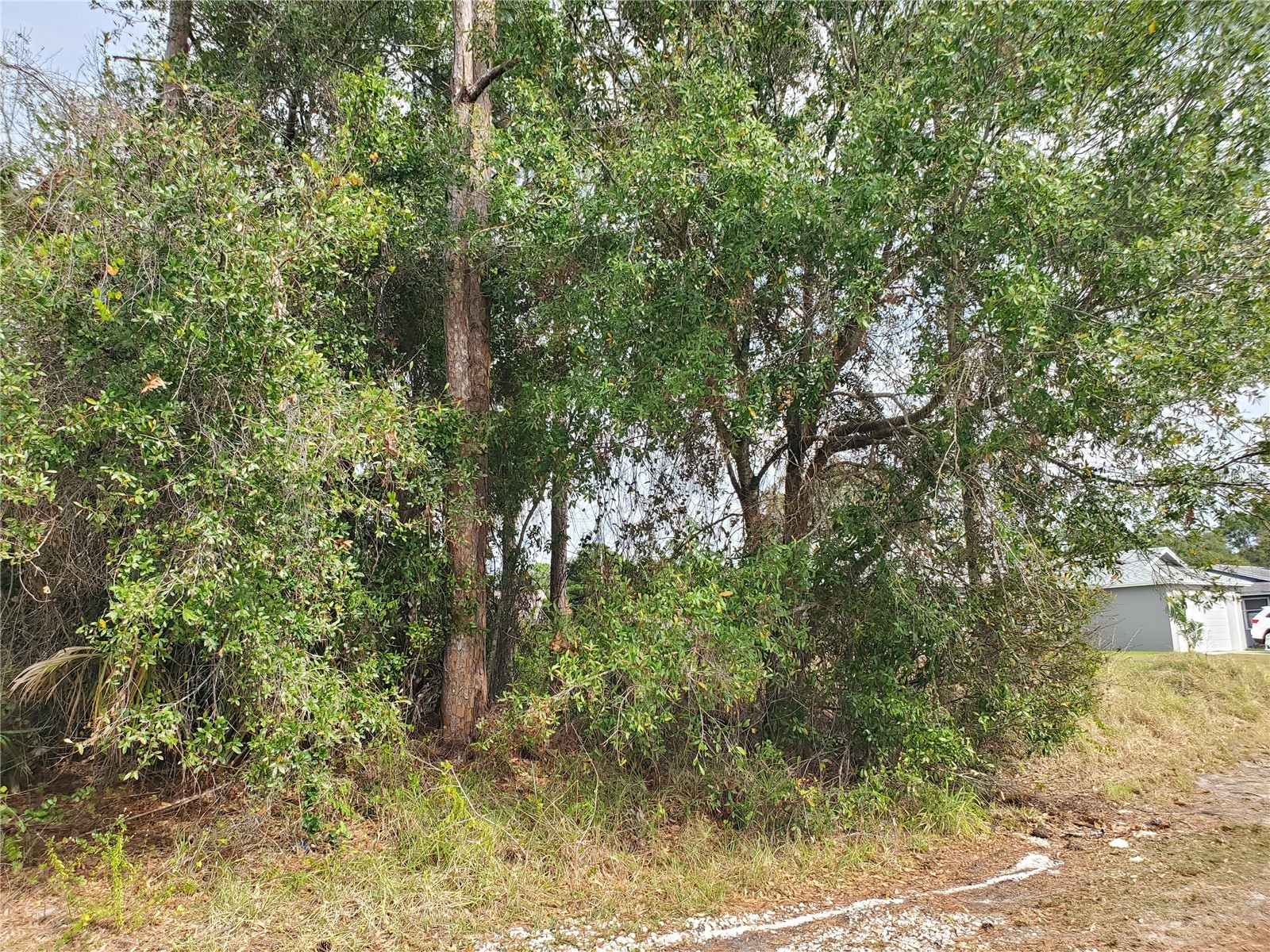 1009 SW Castaneda Lane Port Saint Lucie FL 34953 FC315403 image1