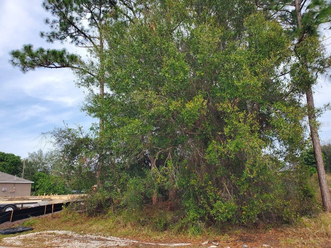 1009 SW Castaneda Lane Port Saint Lucie FL 34953 FC315403 image3