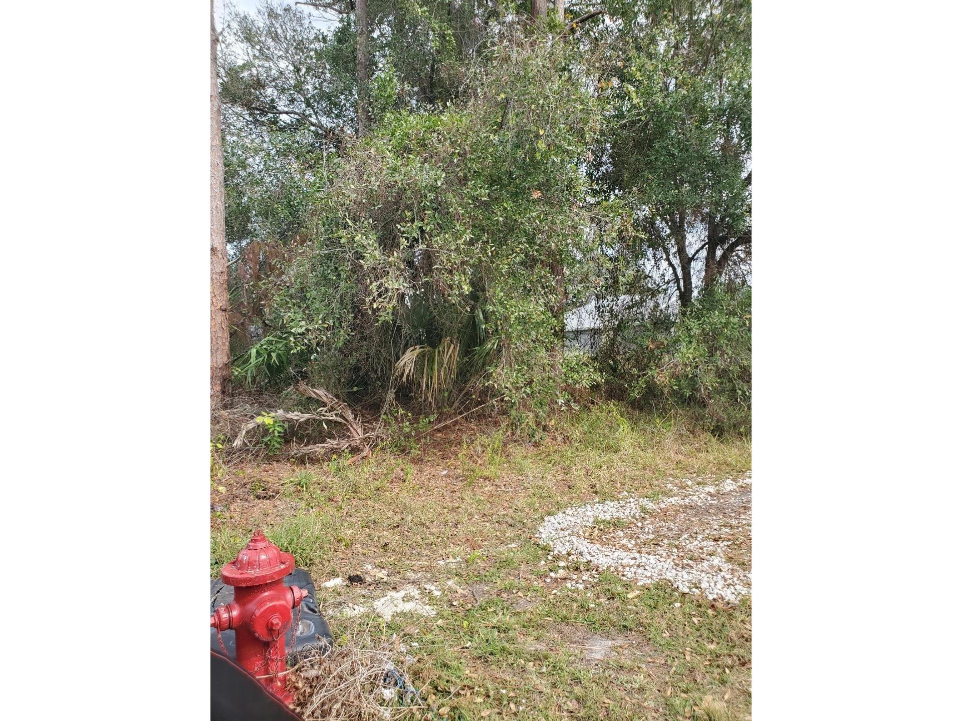 1009 SW Castaneda Lane Port Saint Lucie FL 34953 FC315403 image5