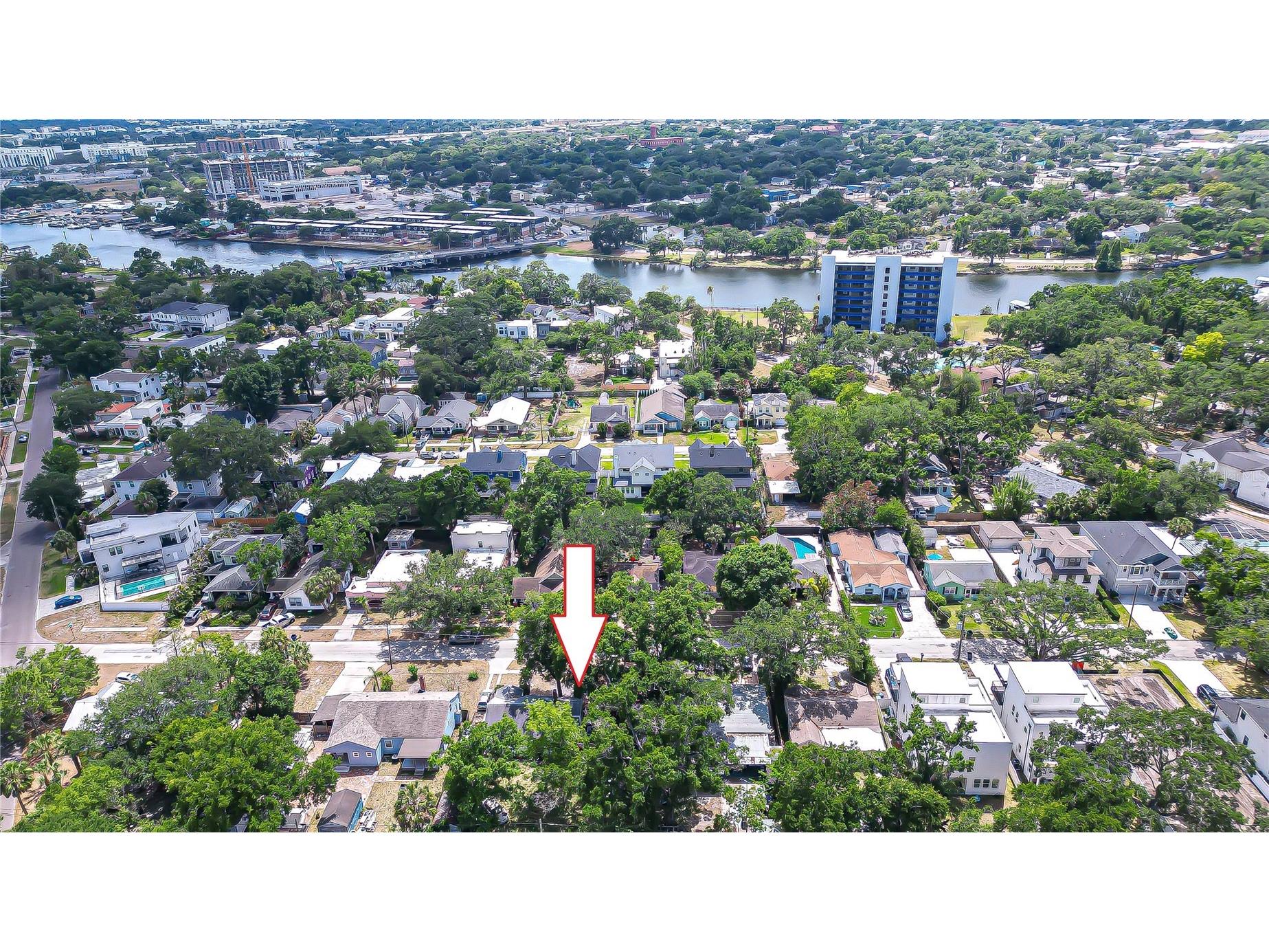 1009 W Coral Street Tampa FL 33602 TB8503696 image2