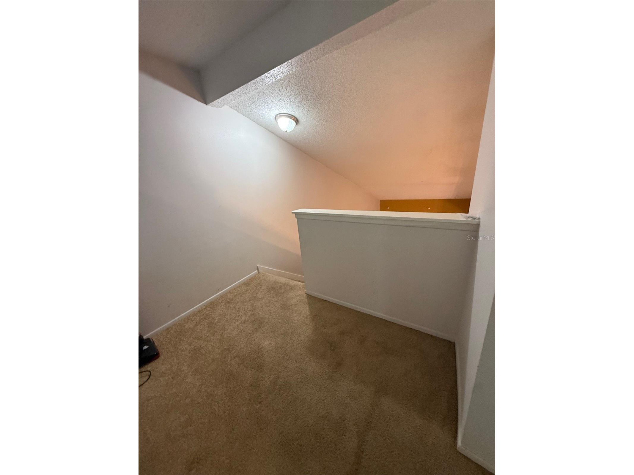 1009 Westside Drive Winter Garden FL 34787 O6386529 image15