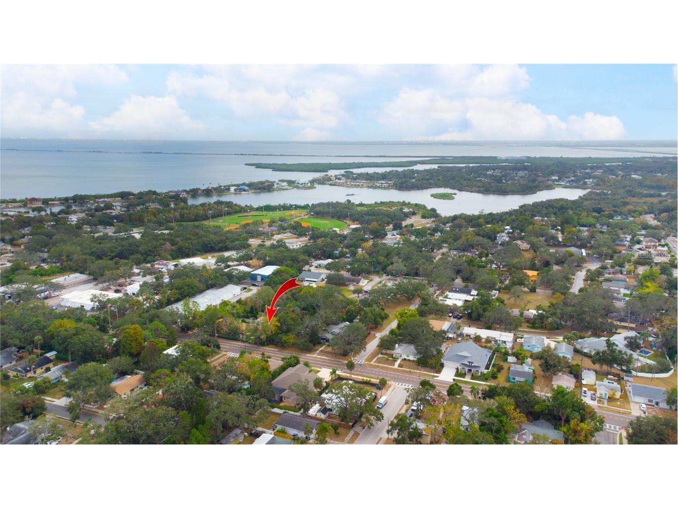 1009 Willow Pond Drive Safety Harbor FL 34695 TB8454113 image11