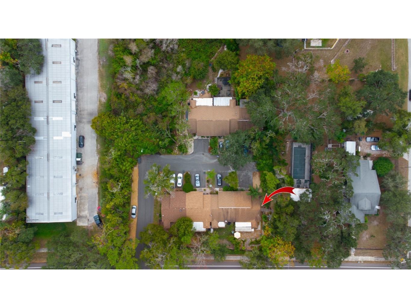 1009 Willow Pond Drive Safety Harbor FL 34695 TB8454113 image17