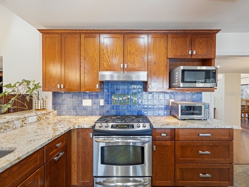 1009 Wyndham Way Safety Harbor FL 34695 TB8441200 image13