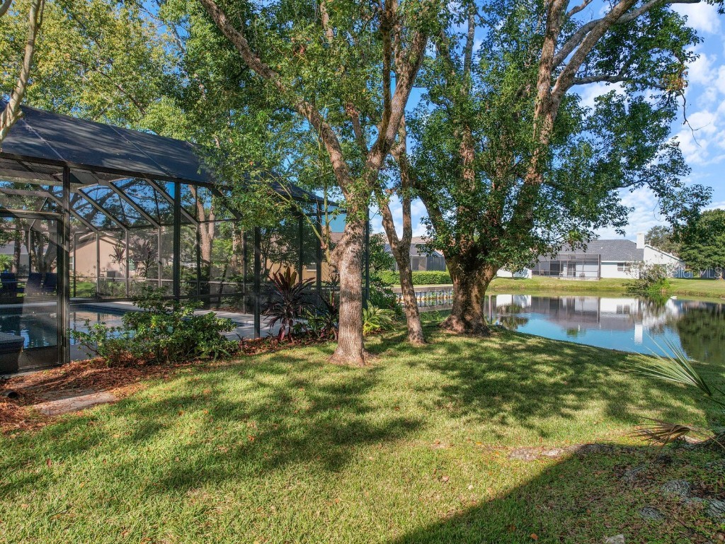 1009 Wyndham Way Safety Harbor FL 34695 TB8441200 image47