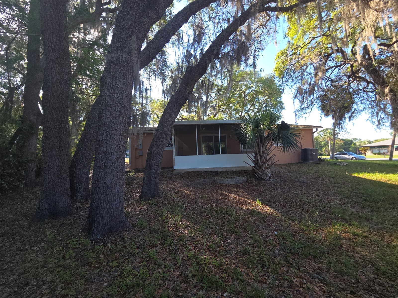 10090 N Citrus Springs Boulevard Citrus Springs FL 34434 OM722704 image8