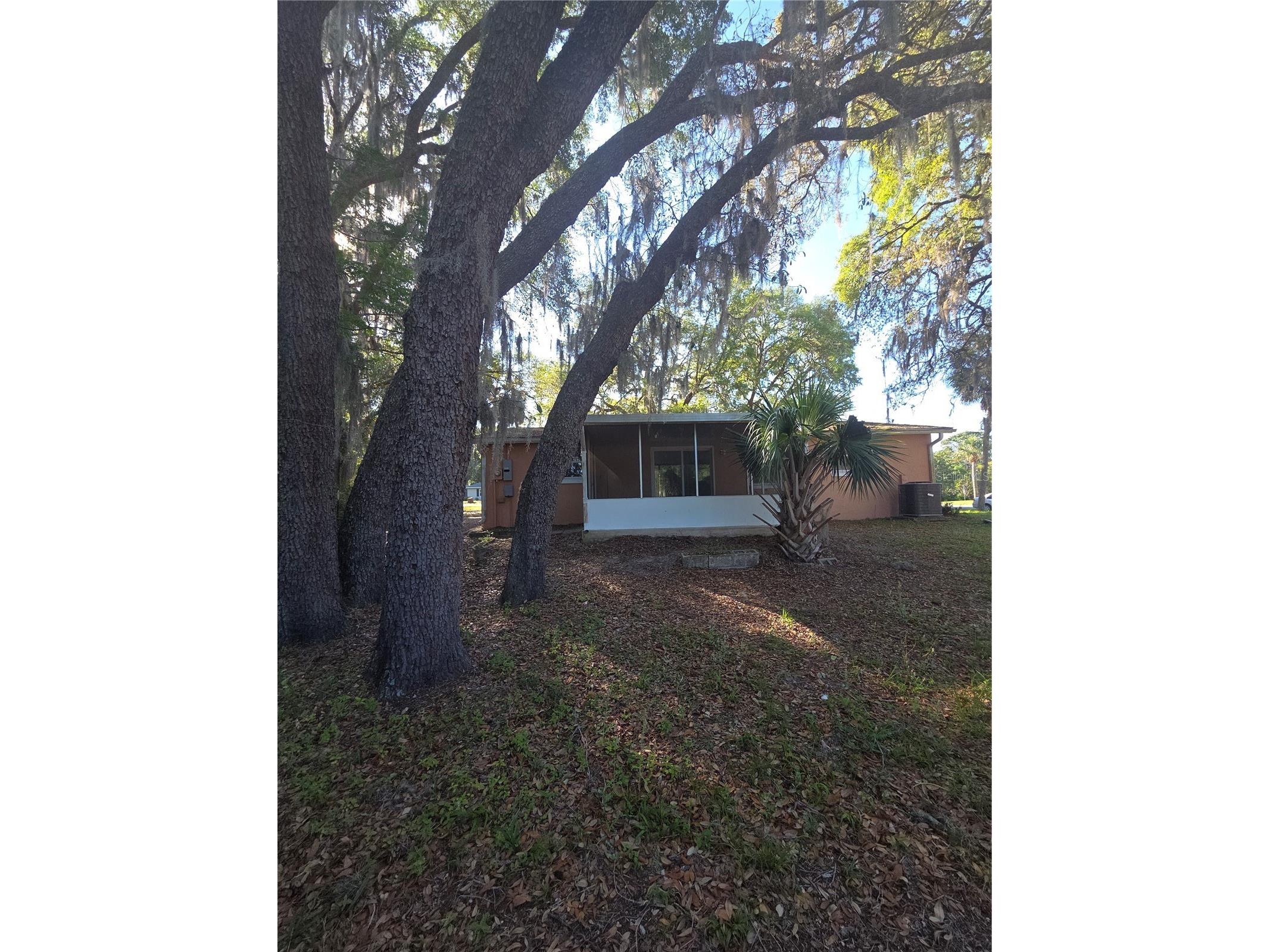 10090 N Citrus Springs Boulevard Citrus Springs FL 34434 OM722704 image9