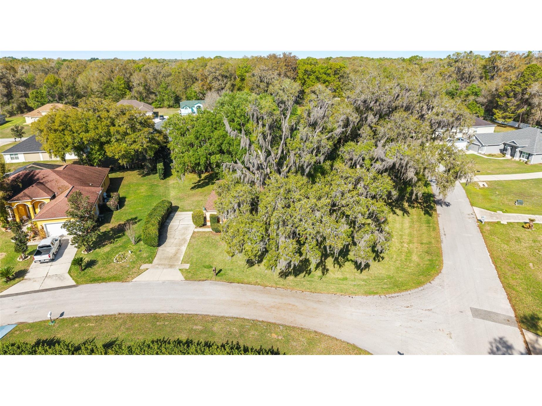 10090 SW 78th Court Ocala FL 34476 OM721077 image43