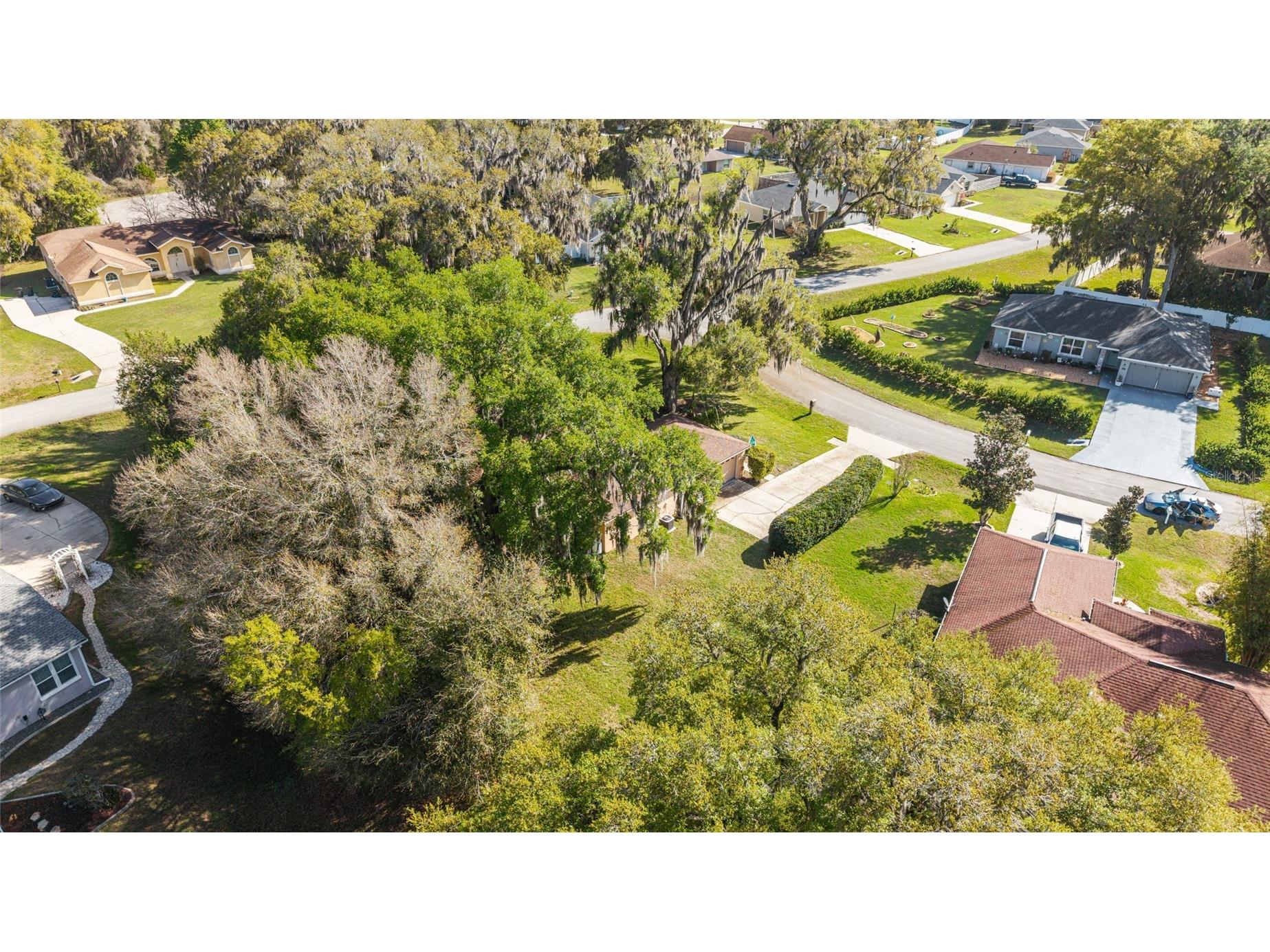 10090 SW 78th Court Ocala FL 34476 OM721077 image49