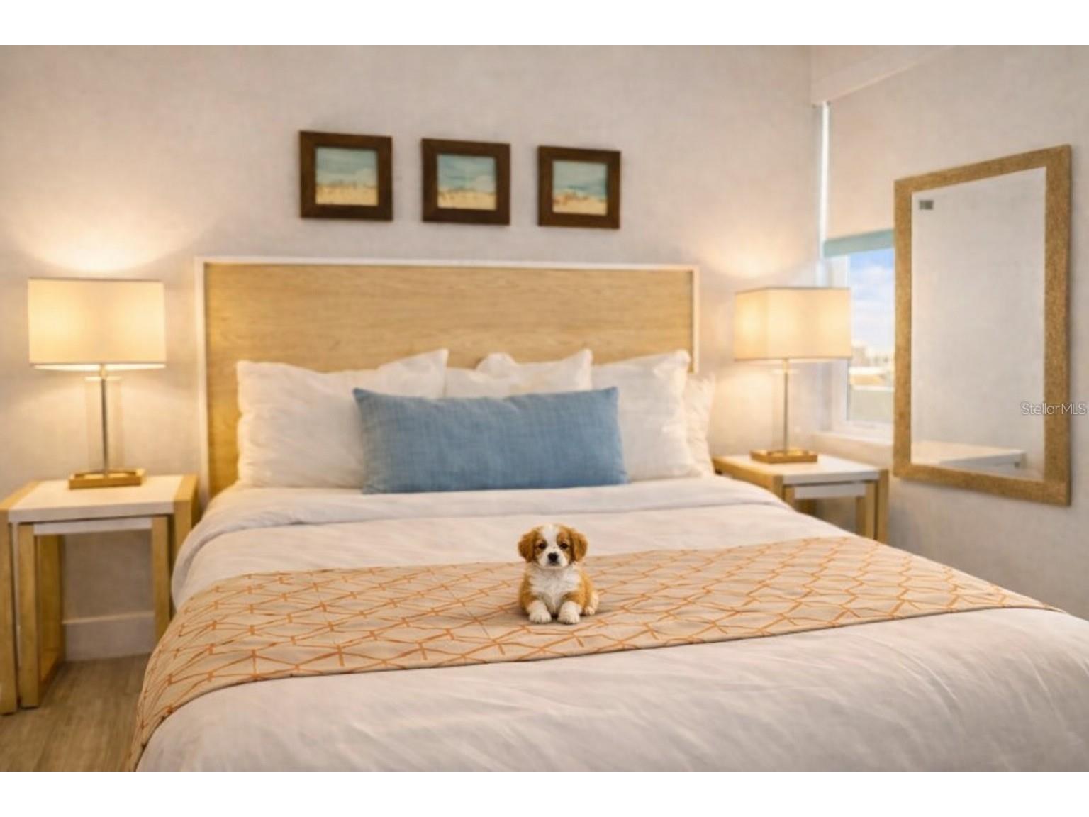 10091 Gulf Boulevard #202E Treasure Island FL 33706 - INTRACOASTAL WATERWAY TB8526111 image16