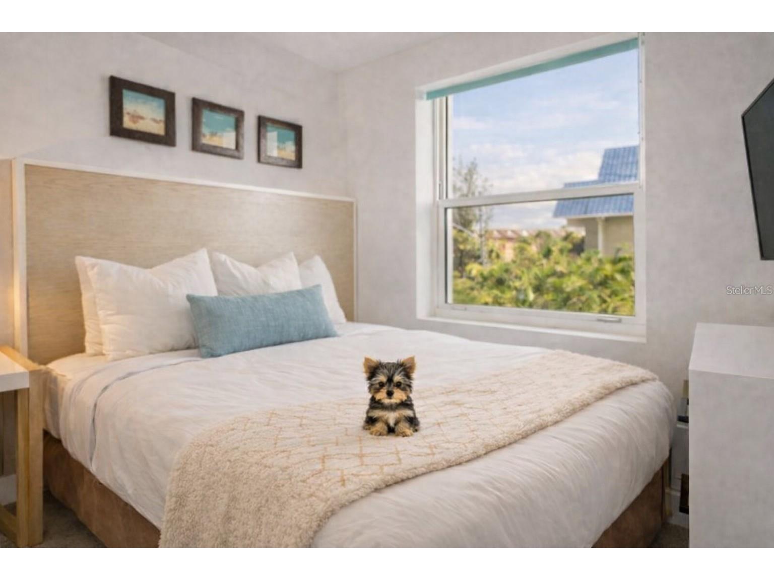 10091 Gulf Boulevard #203E Treasure Island FL 33706 - INTRACOASTAL WATERWAY TB8526114 image14