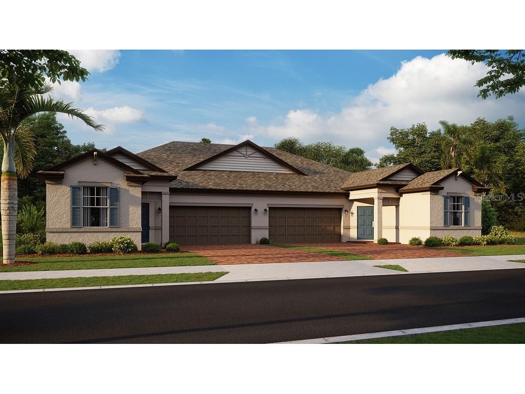 10093 Campanula Court Land O Lakes FL 34637 T3435411 image1