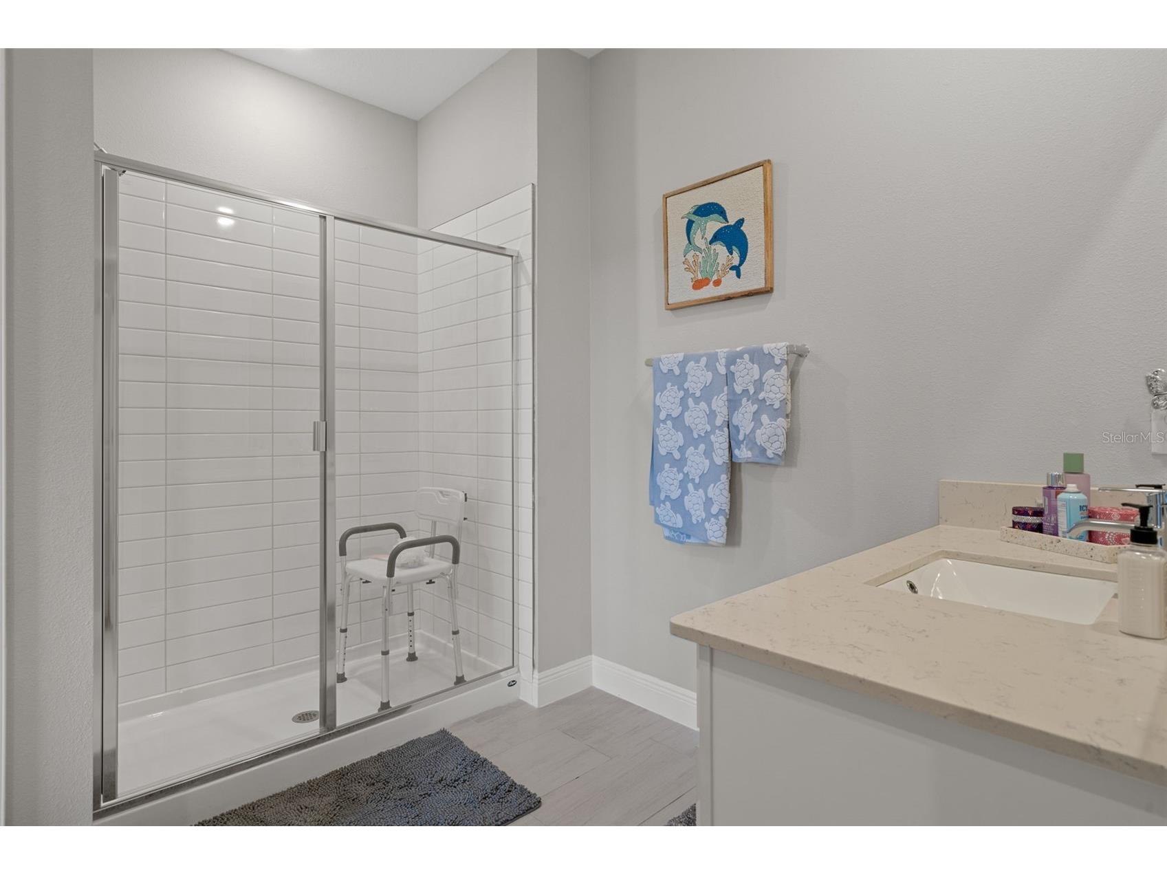 10093 Campanula Court Land O Lakes FL 34637 TB8515167 image28