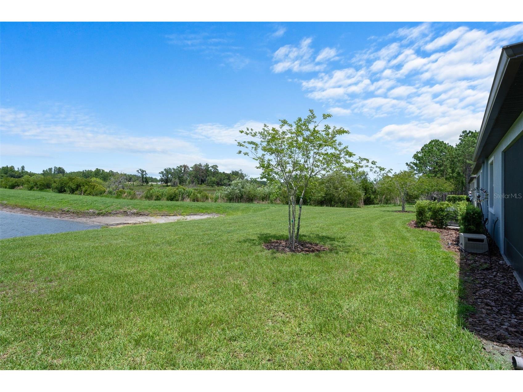 10093 Campanula Court Land O Lakes FL 34637 TB8515167 image35
