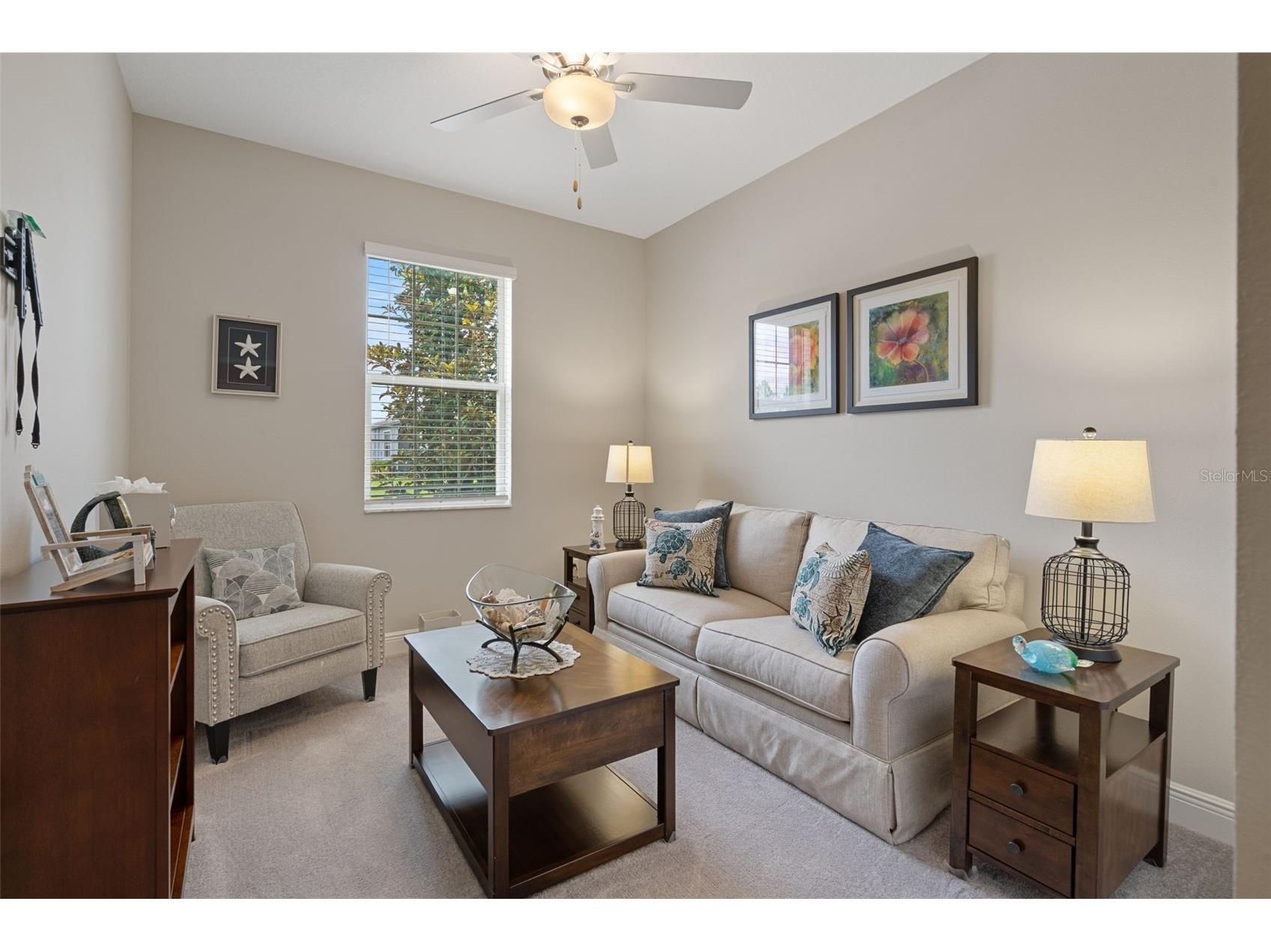 10093 Campanula Court Land O Lakes FL 34637 TB8515167 image9