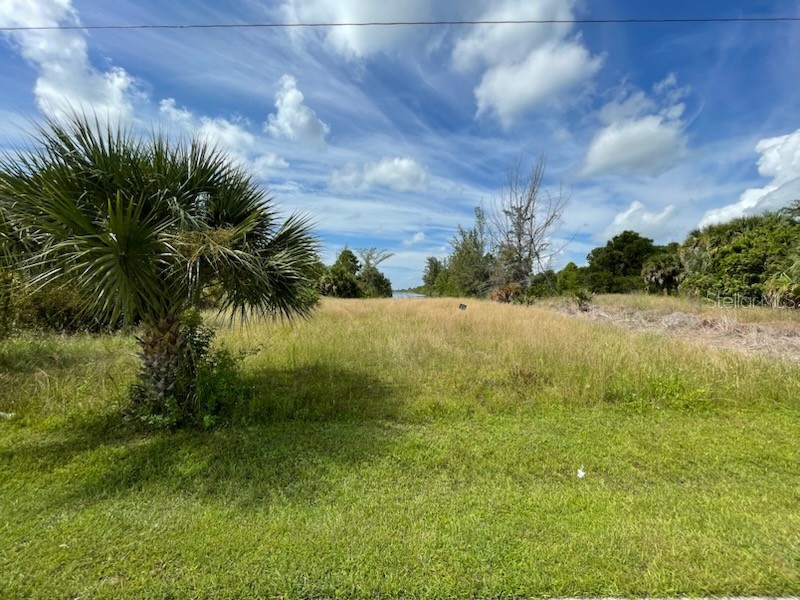 10093 Hallendale Drive Port Charlotte FL 33981 D6140663 image1